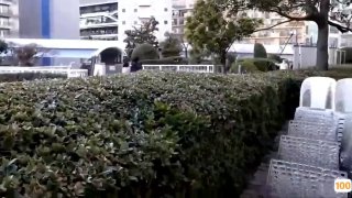 国产一区二区三区 站长工具⭕❌欧美精品A片XXX⭕❌欧美性猛交XXXX乱大交极品-无码av电影在线观看不卡